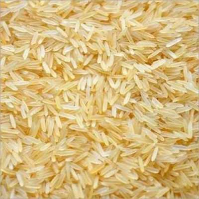 Rice Profile Picture